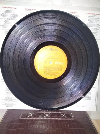 Vinilo LP Rick Astley - Hold Me In Your Arms