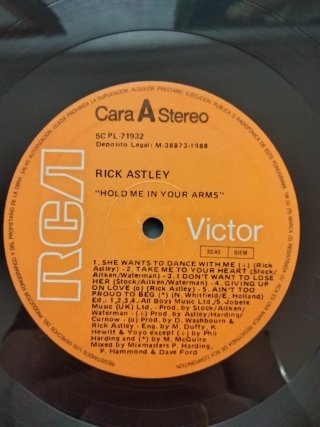 Vinilo LP Rick Astley - Hold Me In Your Arms