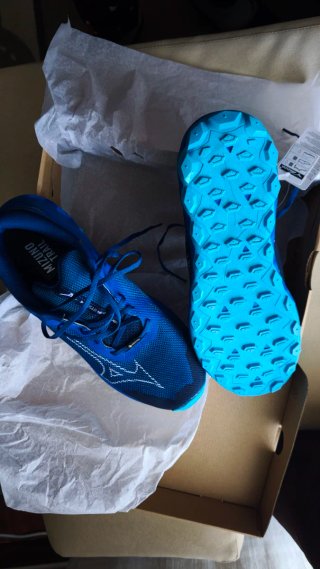 Zapatillas Mizuno Trail Running Gore-Tex Azul