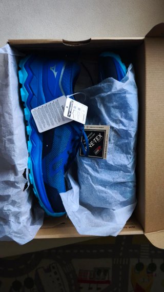 Zapatillas Mizuno Trail Running Gore-Tex Azul