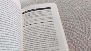 Ecoansias