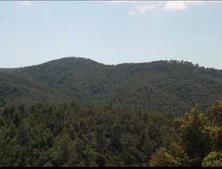 Terreno en Molins de Rei