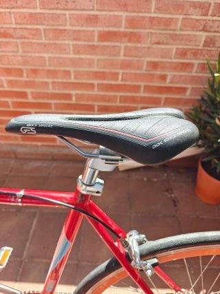 Bicicleta Ciclotriana Vintage Roja