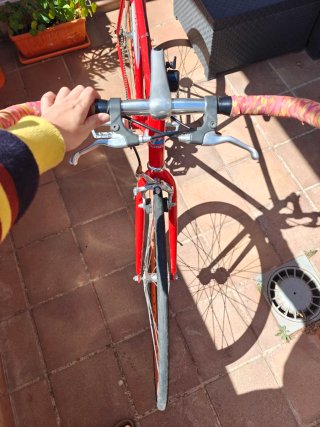 Bicicleta Ciclotriana Vintage Roja