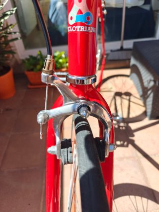 Bicicleta Ciclotriana Vintage Roja