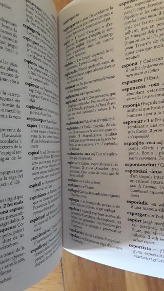 Diccionari de la llengua catalana.