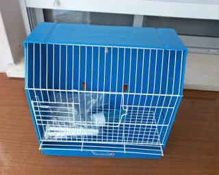 Jaula para pájaros Pedros azul