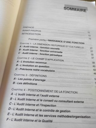 Theorie et practique de l'audit interne 2002