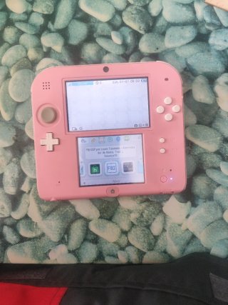 Nintendo 2DS Rosa ( Leer )