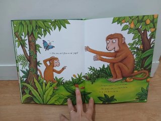 Libro infantil  Monete busca a su mamá
