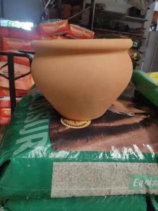 Maceta de terracota pequeña