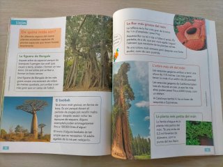 LLENGUA CATALANA I LITERATURA 2 LECT (CZ)