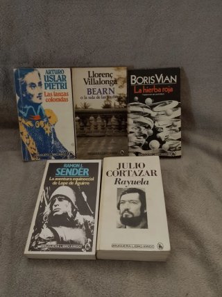 Lote libros Bruguera libro amigo