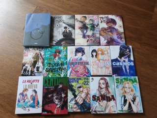 Lote 14 mangas
