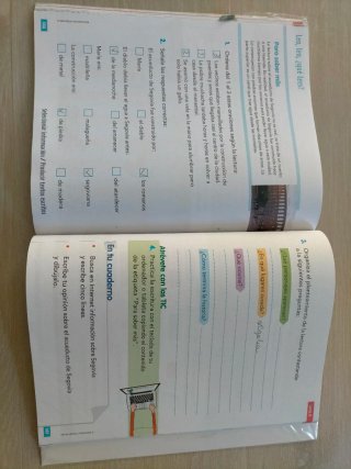 Lengua castellana y literatura Educación primaria