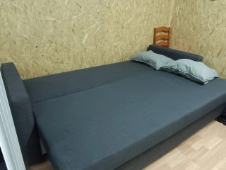 Sofá Cama Gris Ikea FRIHETEN