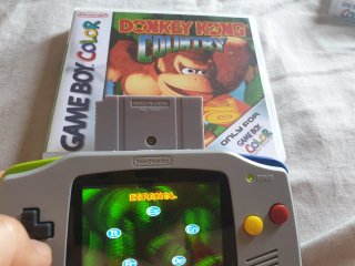 Donkey Kong Country para Game Boy Color