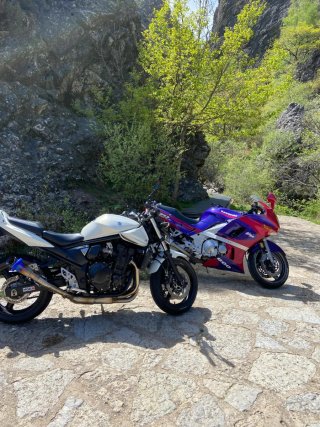 Kawasaki ZZR 600 Morado/Rojo