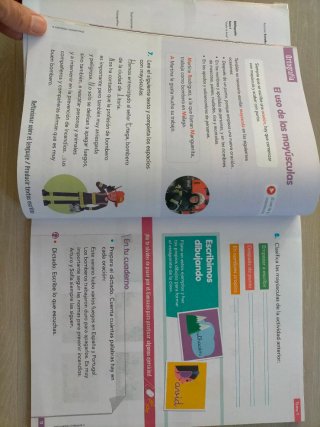 Lengua castellana y literatura Educación primaria