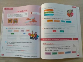 Lengua castellana y literatura Educación primaria