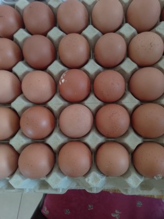 Manda huevos