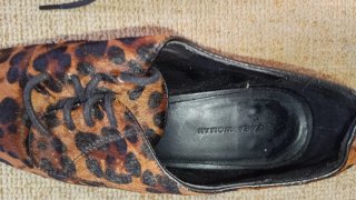 Zapatos Zara leopardo tacón bajo