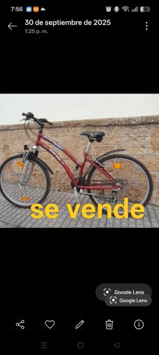 Bicicleta burdeos con horquilla