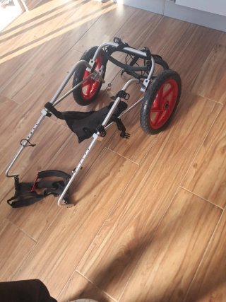 Sedia a rotelle per cani di taglia grande