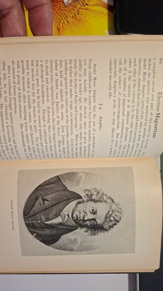 Libro Makers of Science: Electricity & Magnetism
