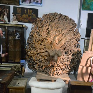 Escultura Raíz arvol pavo real