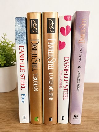 Lote libros Danielle Steel (5 novelas románticas)