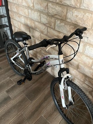 2 Bicicletas. Poco Uso. Excelente estado