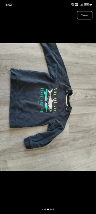 Sudadera Nanos niño Wild and Cool