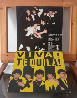 Disco Vinilo de Tequila.
