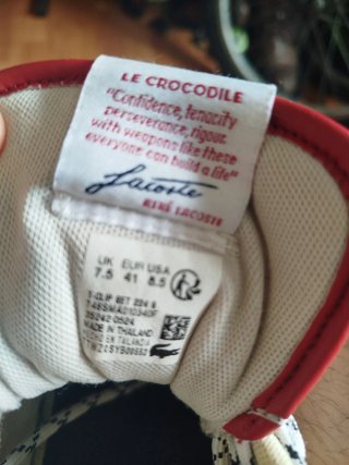 Zapatillas clasicas lacoste hombre