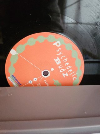 Psychedelic Budz - Faerie Stomp Vinilo