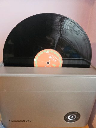 Psychedelic Budz - Faerie Stomp Vinilo