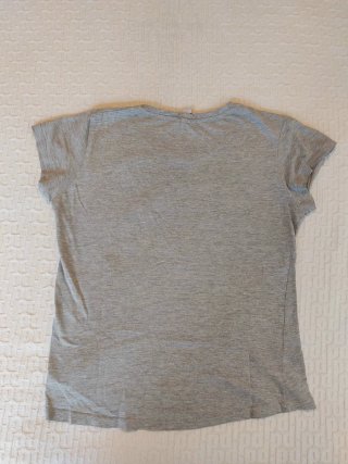 T-shirt Everlast slim fit grigio cotone