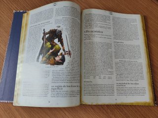 D&D Reinos Olvidados Razas de Faerûn