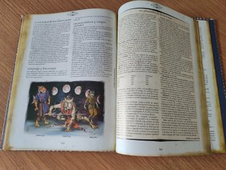 D&D Reinos Olvidados Razas de Faerûn