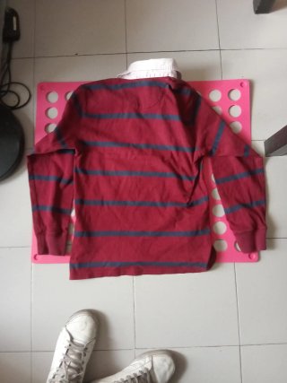 Polo Ralph Lauren Rayas Manga Larga