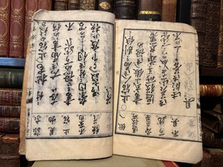 Libro japonés Meiji 17 (1884) original