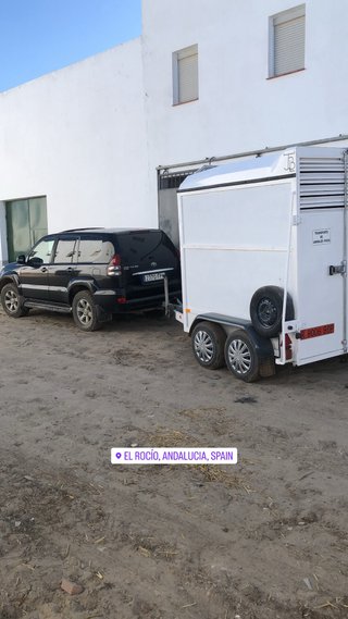 Transporte de caballos