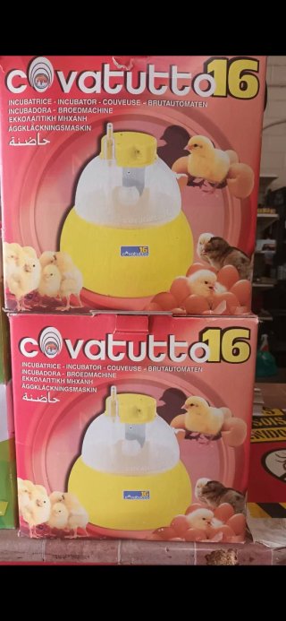 Incubadora de huevos Covatutto 16