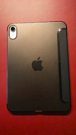 Ipad Mini (2025)