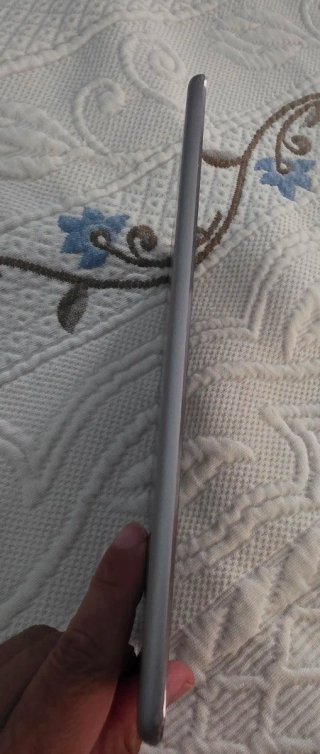 Apple iPad mini 4 Plata