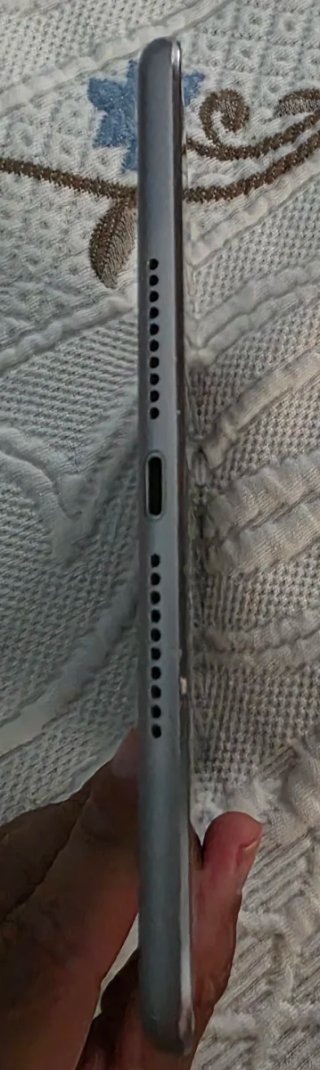 Apple iPad mini 4 Plata