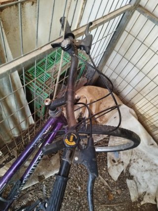 Bicicleta Morada Cannotti