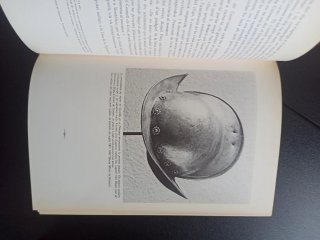 historia de Catalunya