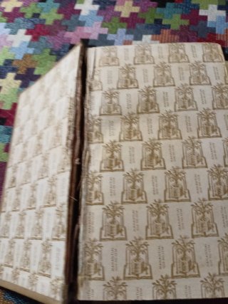 Lo que el viento se llevó libro antiquísimo.